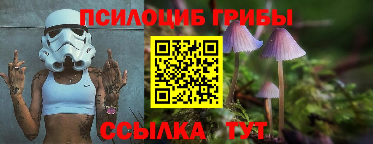 Псилоцибиновые грибы мухоморы Урай